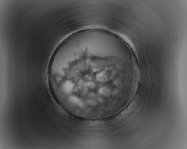 X0000092110895200710031228