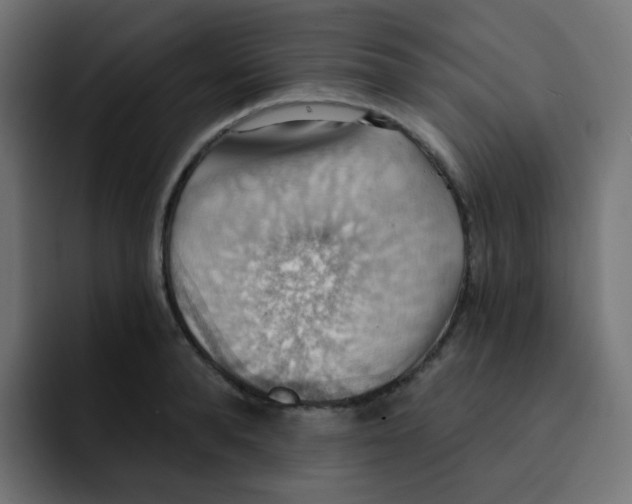 X0000092110896200710031228