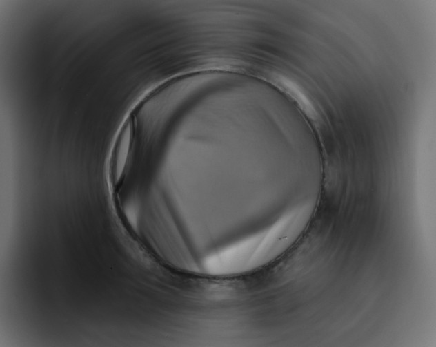 X0000092110899200710031228