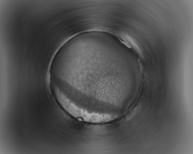 X0000092110900200710031228