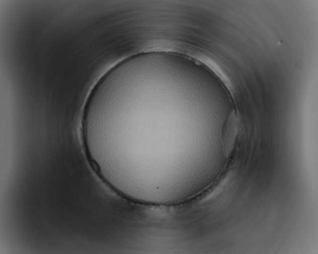 X0000092110901200710031228