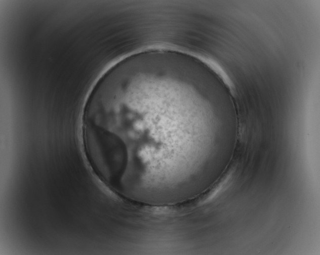 X0000092110903200710031228