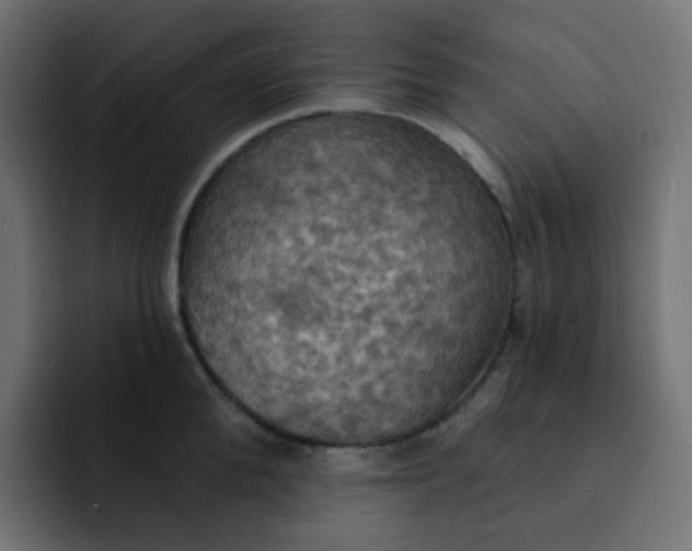 X0000092110904200710031228