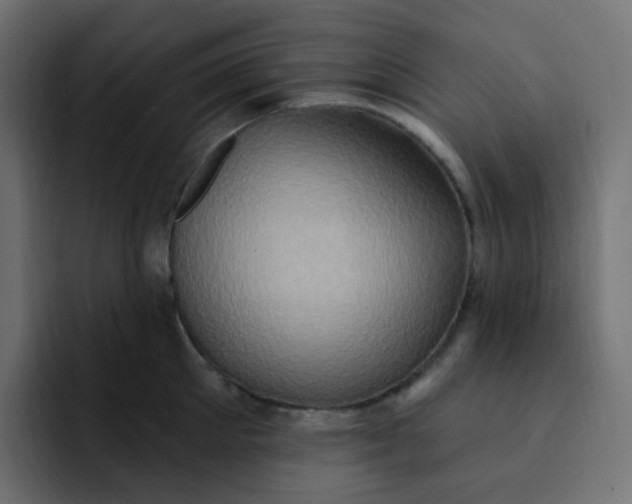 X0000092110905200710031228