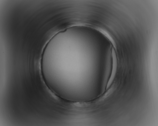 X0000092110906200710031228