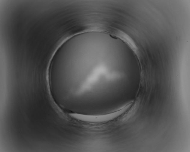 X0000092110907200710031228