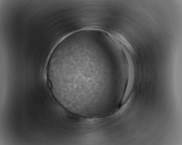 X0000092110908200710031228