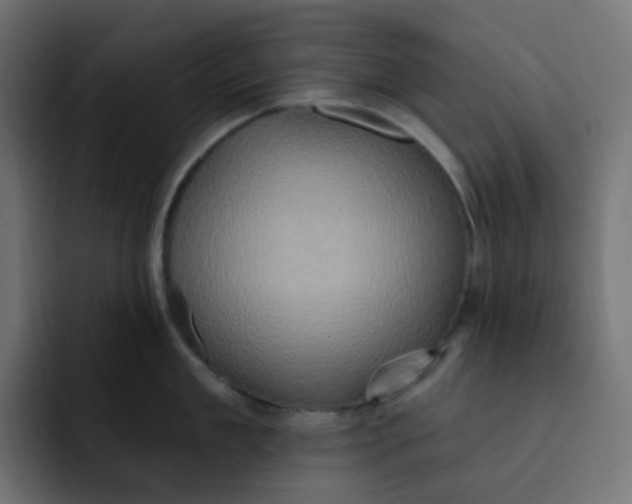 X0000092110909200710031228