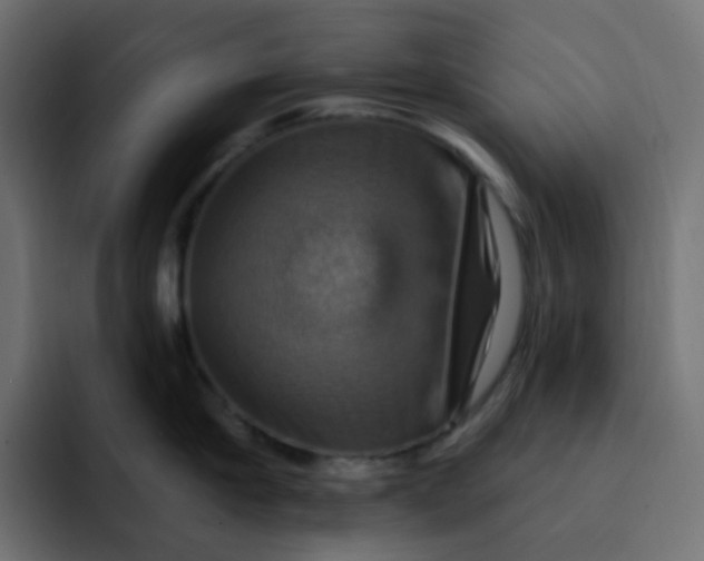 X0000092110910200710031228