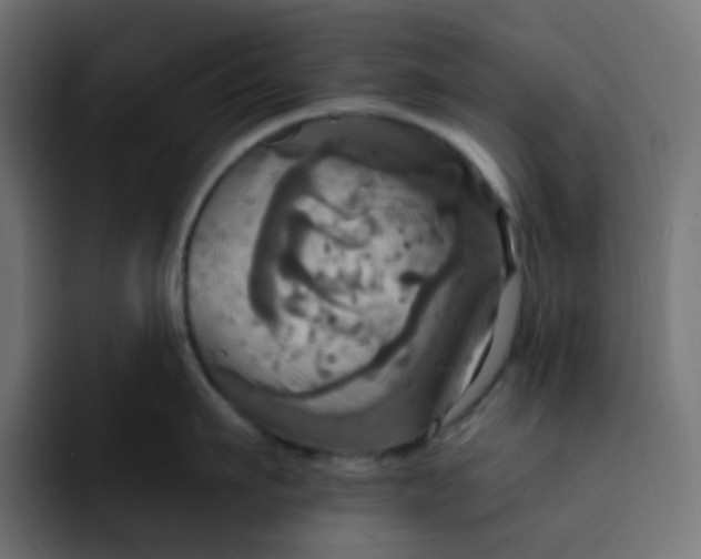 X0000092110911200710031228