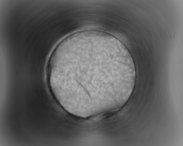 X0000092110912200710031228