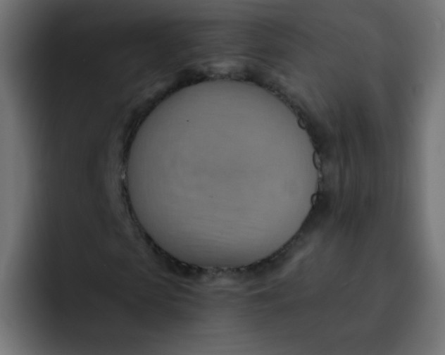 X0000092110913200710031228