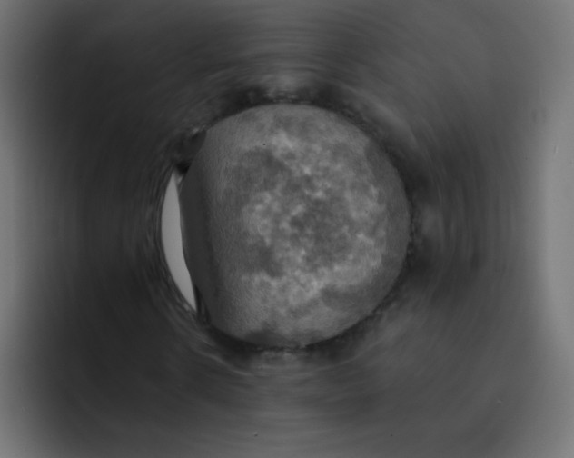 X0000092110914200710031228