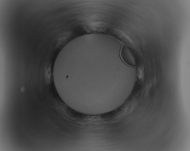 X0000092110915200710031228