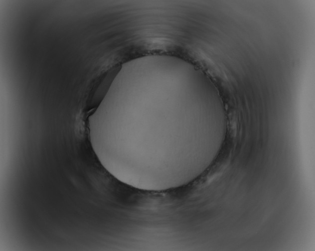 X0000092110916200710031228