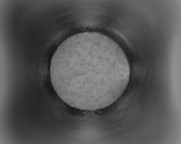 X0000092110918200710031228