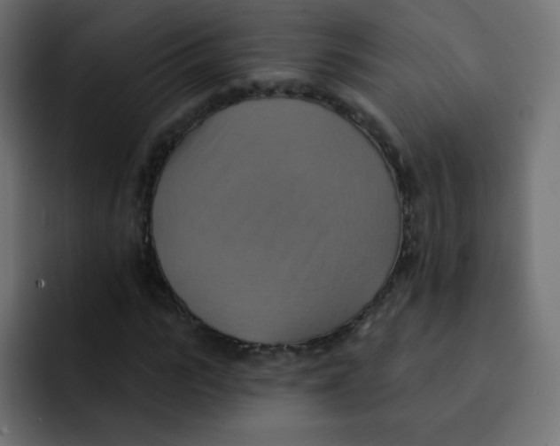 X0000092110919200710031228