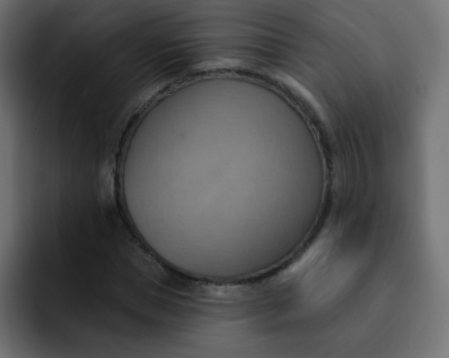 X0000092110921200710031228