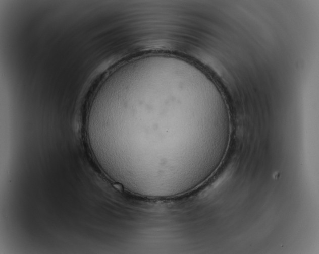 X0000092110922200710031228