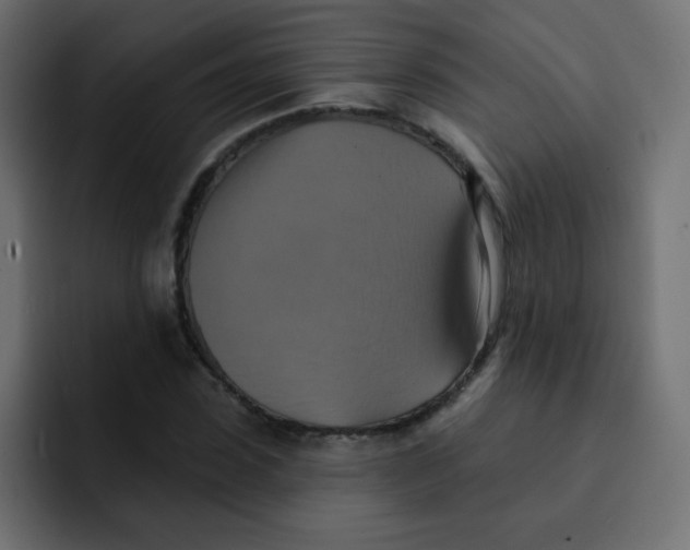 X0000092110923200710031228