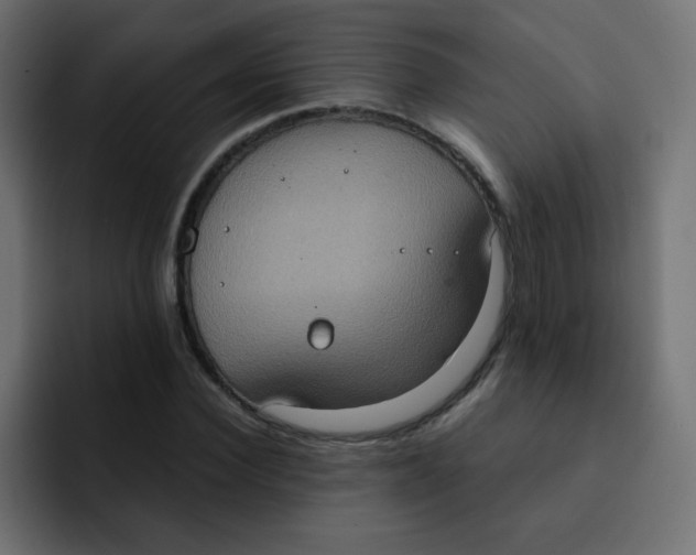 X0000092110924200710031228