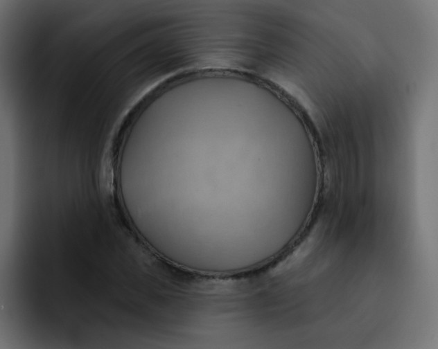 X0000092110925200710031228