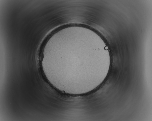 X0000092110926200710031228