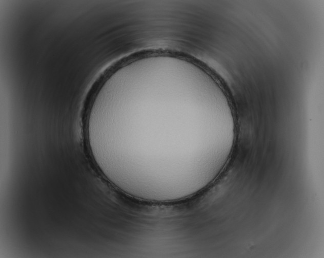 X0000092110927200710031228