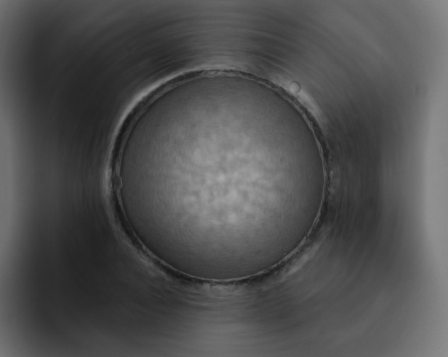 X0000092110928200710031228