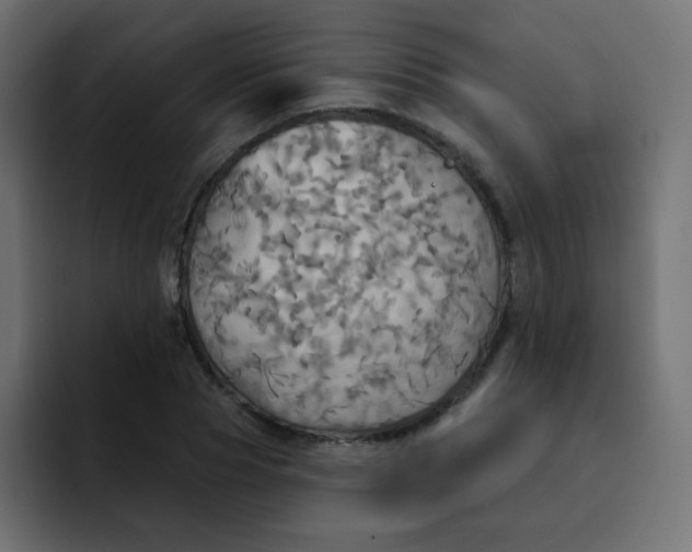 X0000092110929200710031228