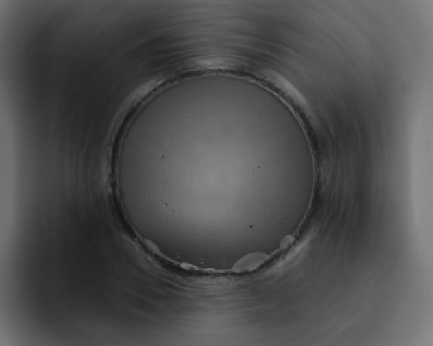 X0000092110930200710031228