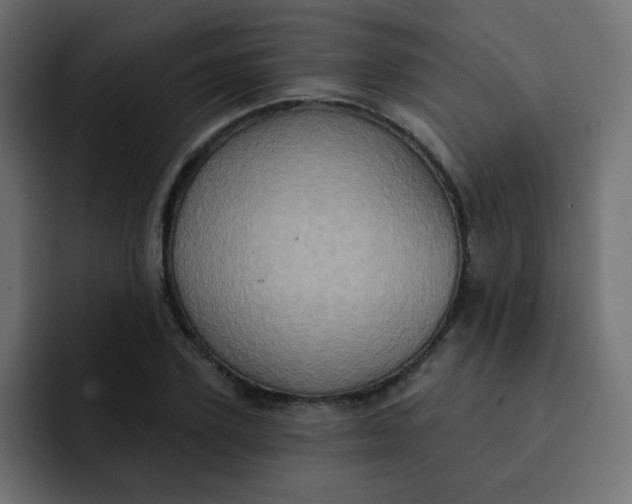 X0000092110931200710031228