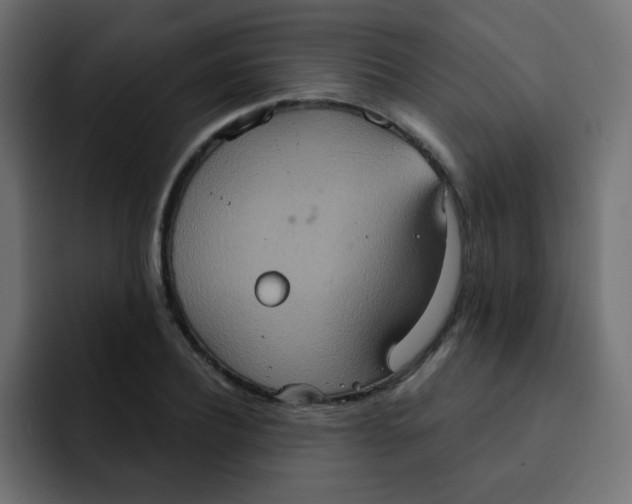 X0000092110932200710031228