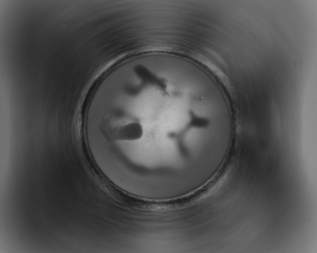 X0000092110933200710031228