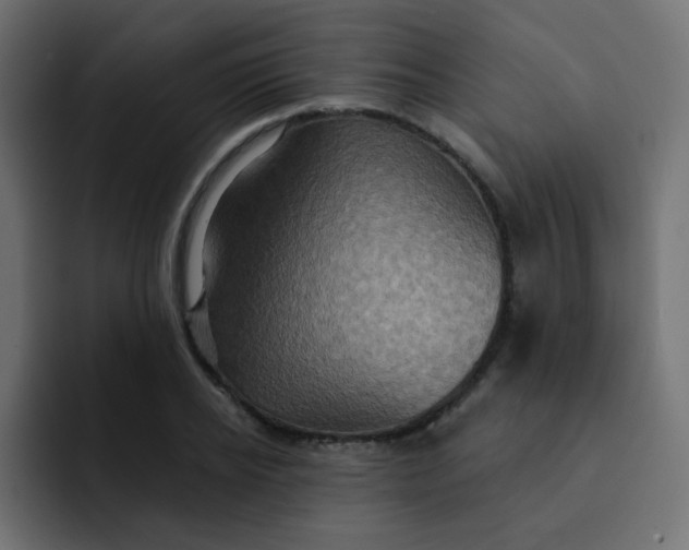 X0000092110934200710031228