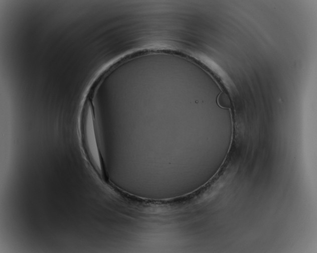 X0000092110935200710031228