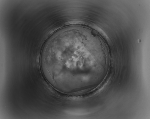 X0000092110937200710031228