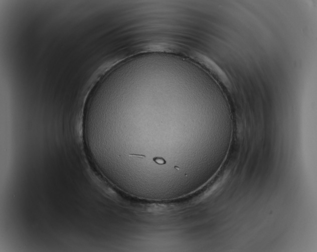 X0000092110938200710031228