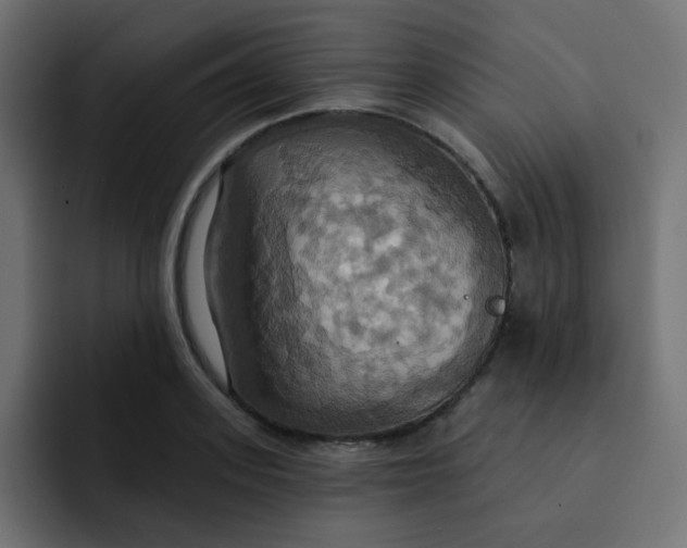 X0000092110939200710031228