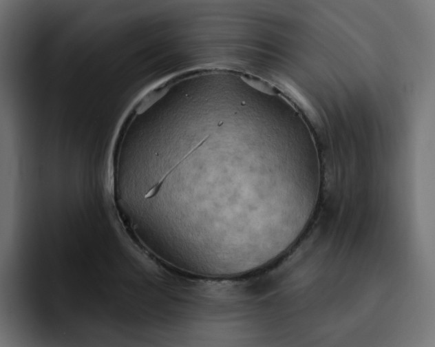 X0000092110940200710031228