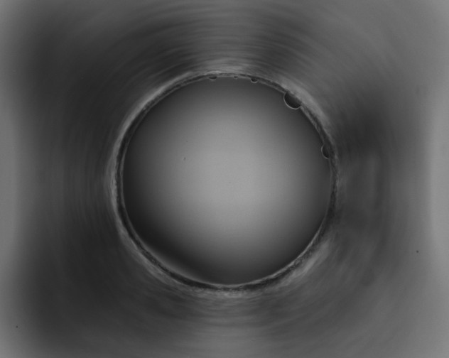 X0000092110941200710031228