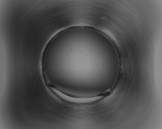 X0000092110942200710031228