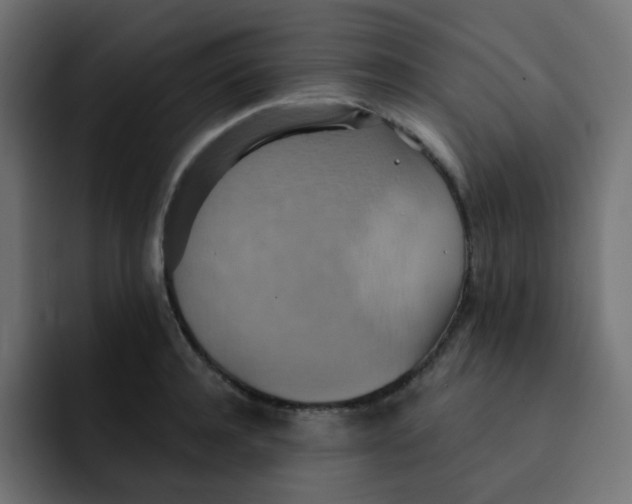 X0000092110944200710031228