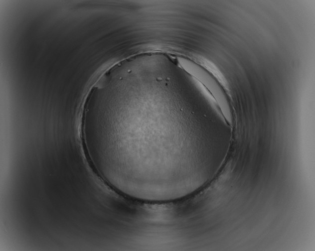 X0000092110946200710031228