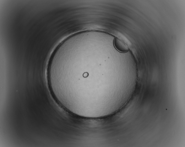 X0000092110947200710031228