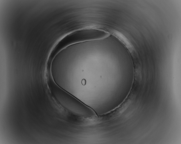 X0000092110948200710031228