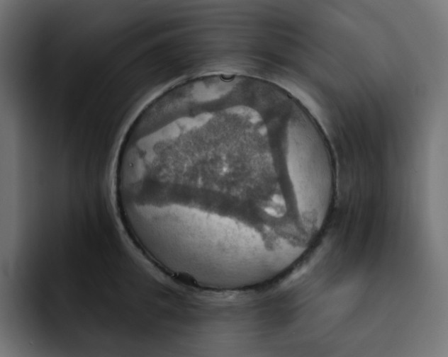 X0000092110949200710031228