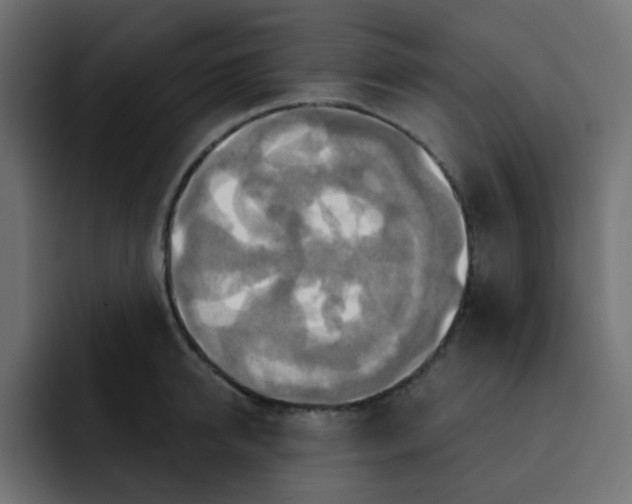 X0000092110950200710031228