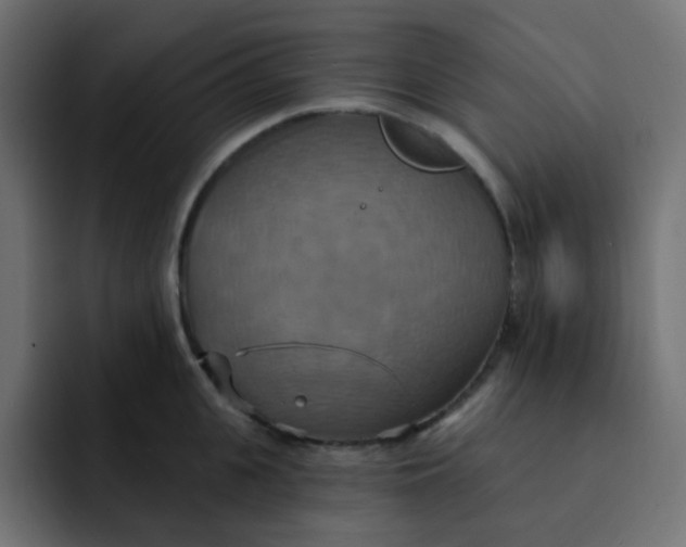 X0000092110951200710031228