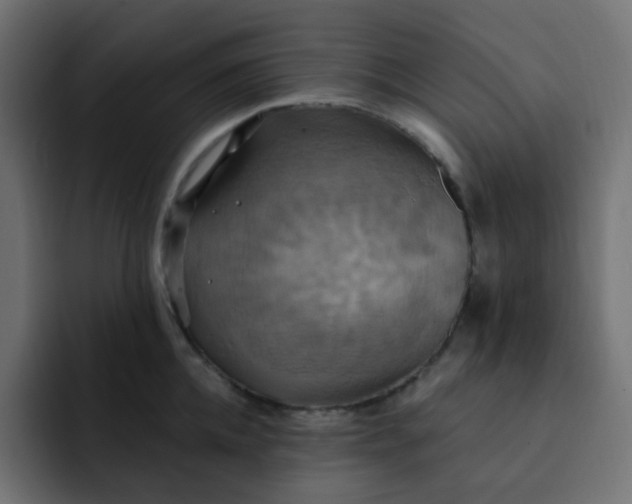 X0000092110952200710031228